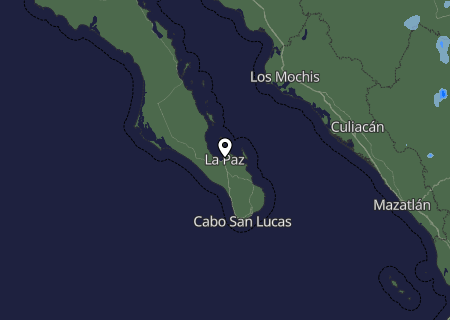 Niederschlagsprognose
