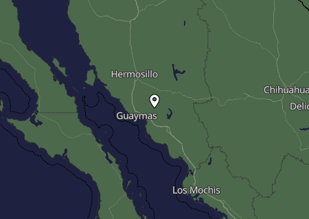 Niederschlagsprognose