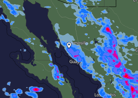 Niederschlagsprognose
