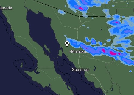 Niederschlagsprognose