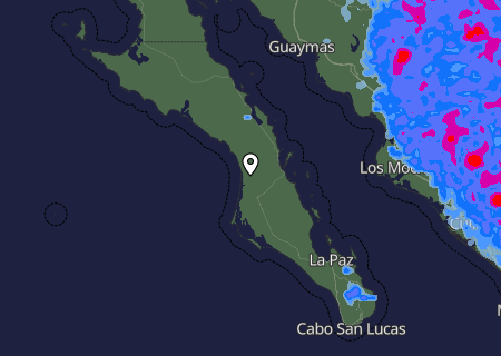 Niederschlagsprognose