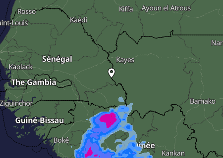 Niederschlagsprognose