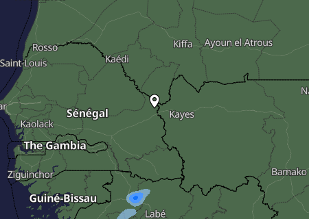 Niederschlagsprognose
