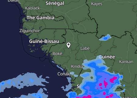 Niederschlagsprognose