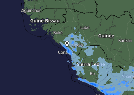 Niederschlagsprognose