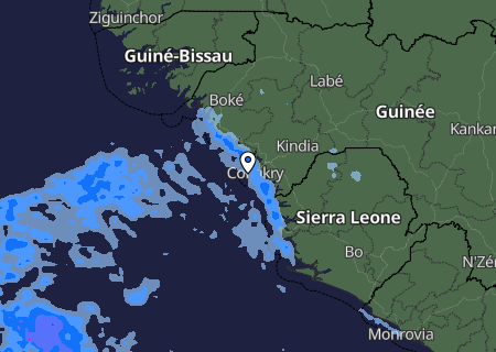 Niederschlagsprognose