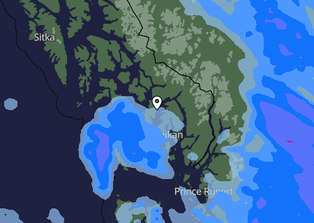 Niederschlagsprognose