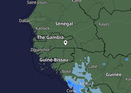 Niederschlagsprognose