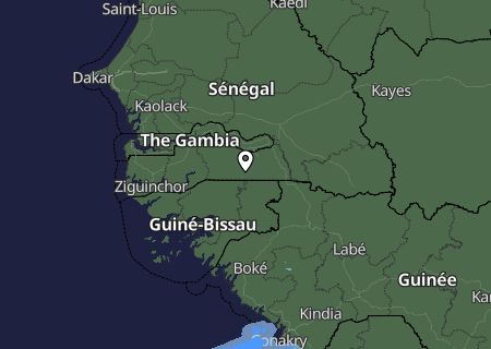 Niederschlagsprognose