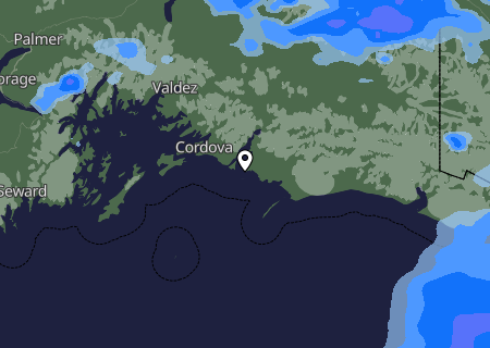 Niederschlagsprognose