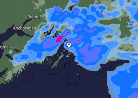 Niederschlagsprognose