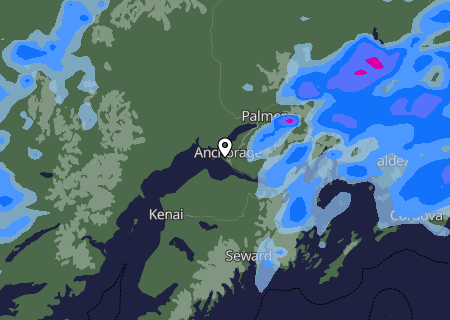 Niederschlagsprognose