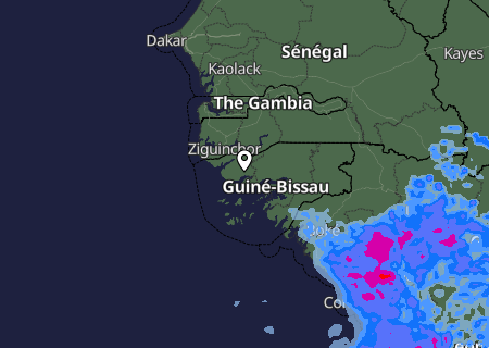 Niederschlagsprognose