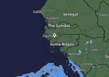 Niederschlagsprognose