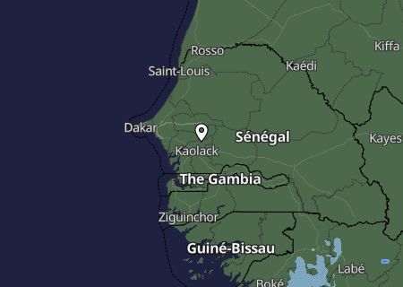 Niederschlagsprognose