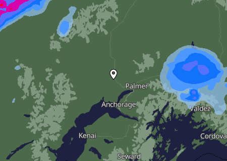 Niederschlagsprognose