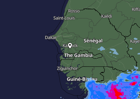Niederschlagsprognose