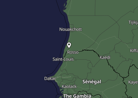 Niederschlagsprognose