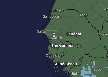 Niederschlagsprognose