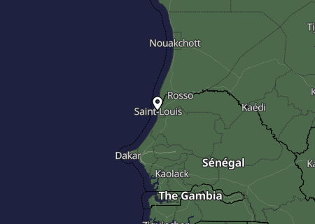 Niederschlagsprognose