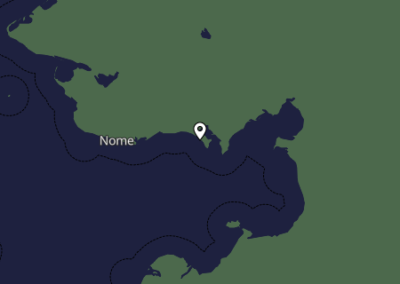 Niederschlagsprognose