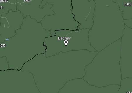 Niederschlagsprognose