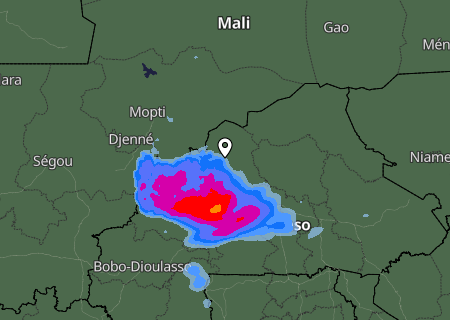Niederschlagsprognose