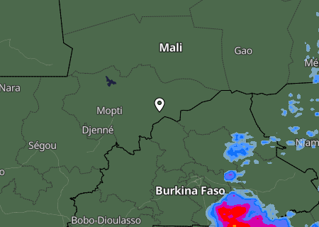 Niederschlagsprognose
