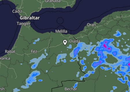 Niederschlagsprognose
