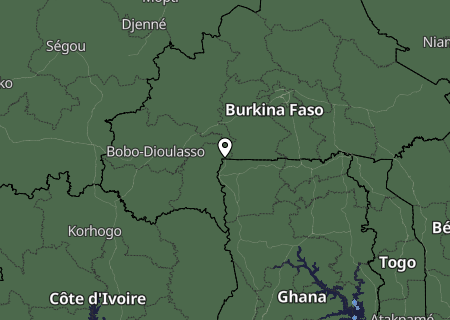 Niederschlagsprognose