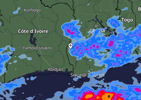 Niederschlagsprognose