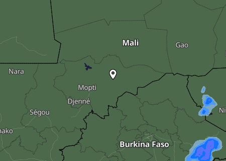 Niederschlagsprognose
