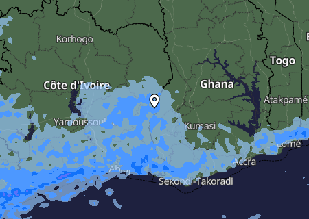 Niederschlagsprognose