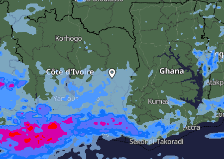 Niederschlagsprognose