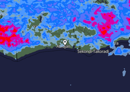 Niederschlagsprognose