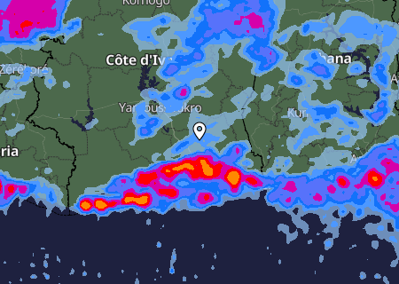 Niederschlagsprognose