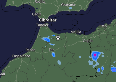Niederschlagsprognose