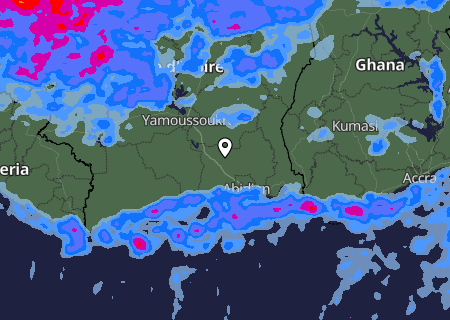 Niederschlagsprognose