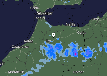 Niederschlagsprognose