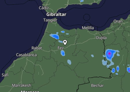 Niederschlagsprognose