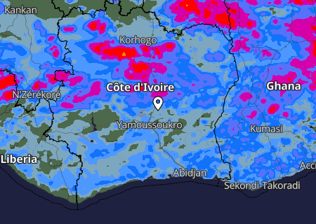 Niederschlagsprognose Niederschlagsprognose