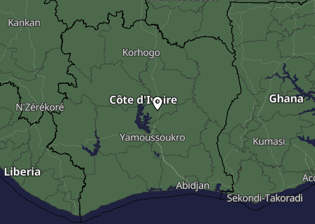 Niederschlagsprognose