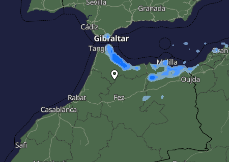 Niederschlagsprognose