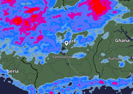 Niederschlagsprognose