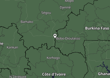 Niederschlagsprognose