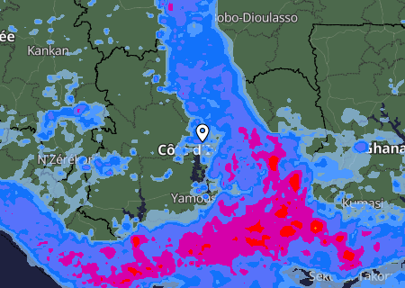Niederschlagsprognose