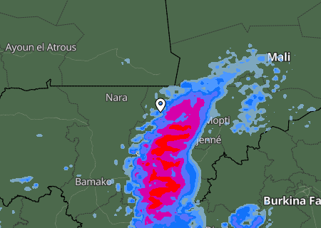 Niederschlagsprognose