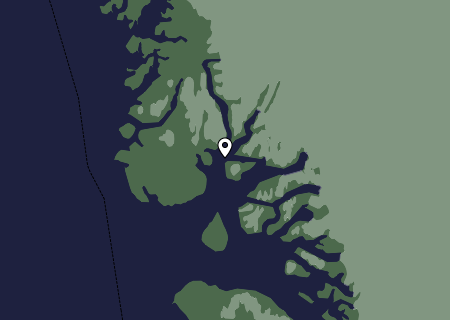 Niederschlagsprognose