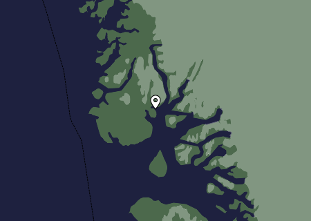 Niederschlagsprognose