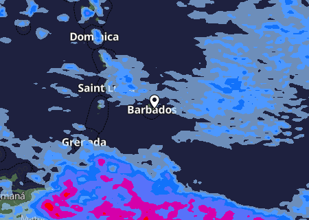 Niederschlagsprognose